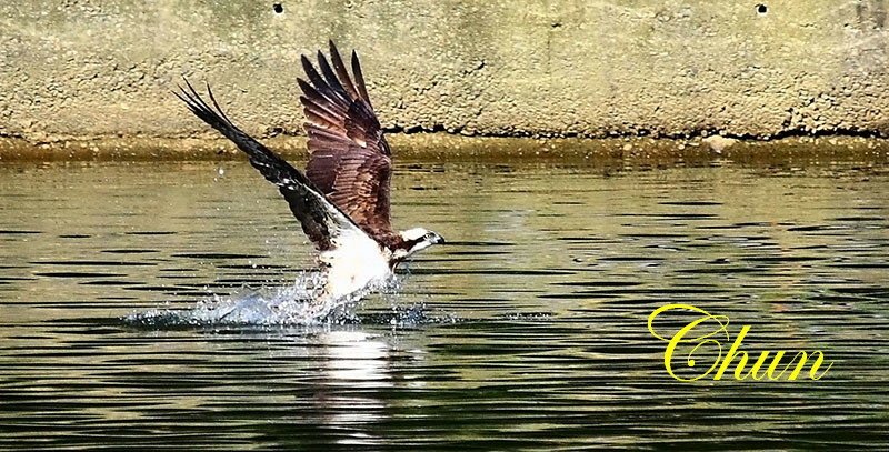IMG_3711.JPG