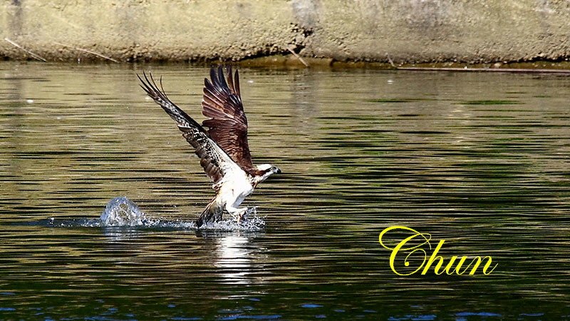 IMG_3728.JPG