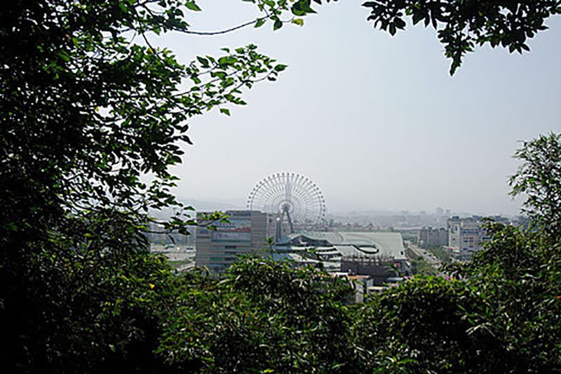 459623929_m.jpg
