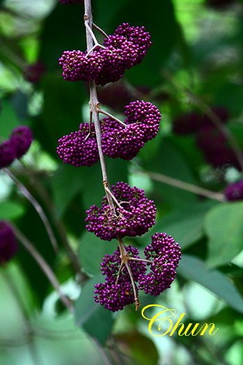 IMG_1614.JPG