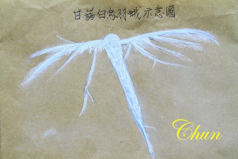 甘藷白鳥羽蛾