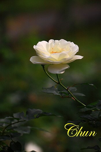 IMG_9653.JPG