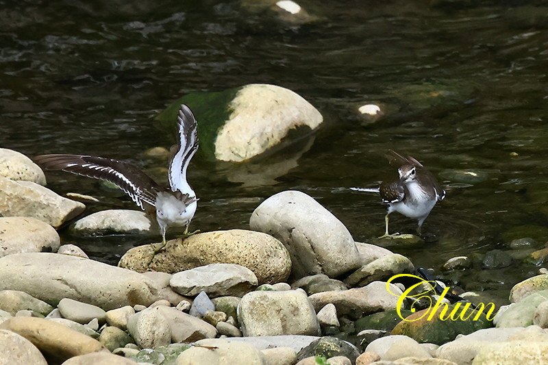 IMG_5700.JPG