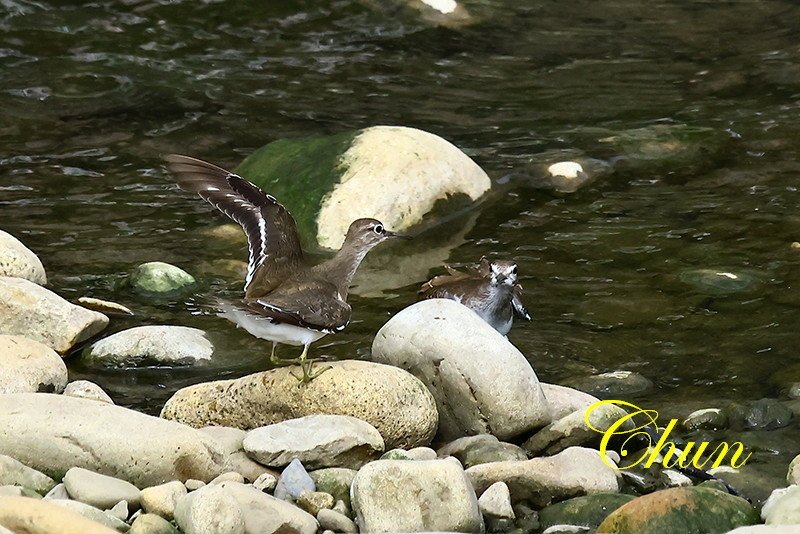 IMG_5701.JPG