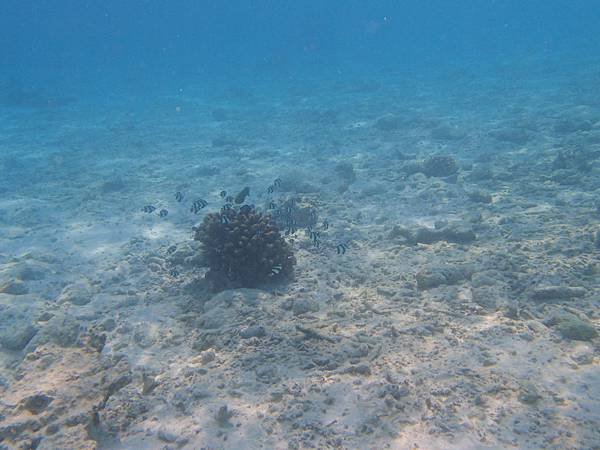 P1230045