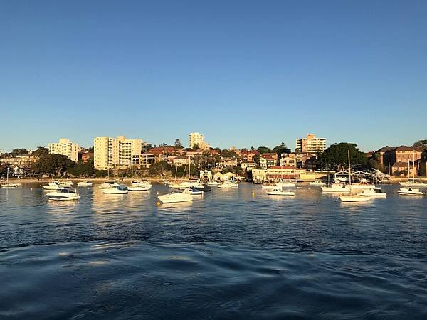 IMG_7164