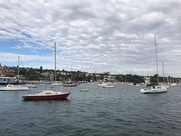 IMG_7314