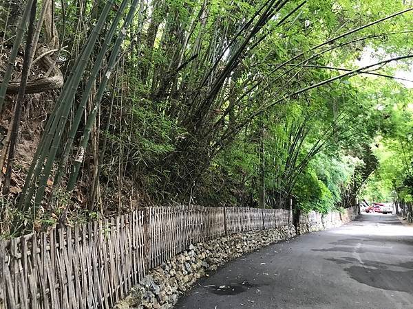 2023暑假三合一清邁行Day4-2：帕拉寺（Wat Pha