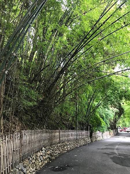 2023暑假三合一清邁行Day4-2：帕拉寺（Wat Pha