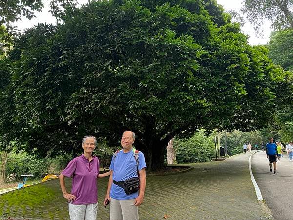 2024暑假星馬日韓行 Day5-1：檳城植物園、青年公園