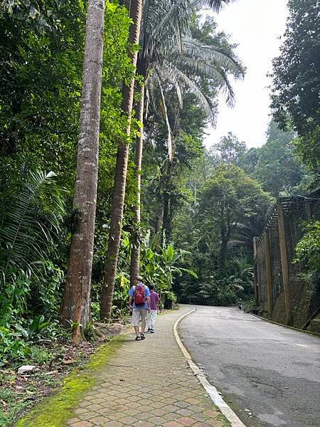 2024暑假星馬日韓行 Day5-1：檳城植物園、青年公園