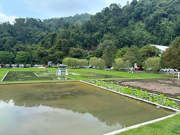 2024暑假星馬日韓行 Day5-1：檳城植物園、青年公園