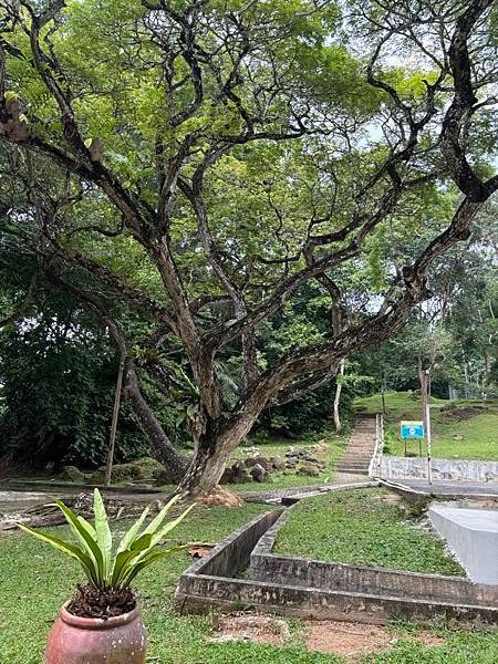 2024暑假星馬日韓行 Day5-1：檳城植物園、青年公園