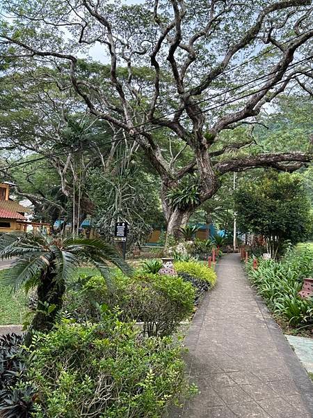 2024暑假星馬日韓行 Day5-1：檳城植物園、青年公園