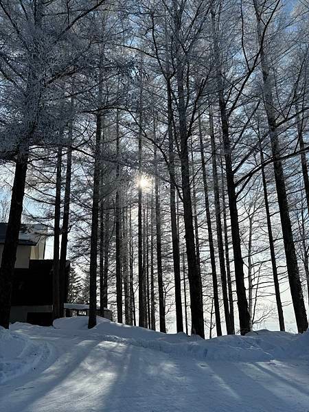 2025寒假F4北海道行 Day4-1：雪國晨景、退房前往旭