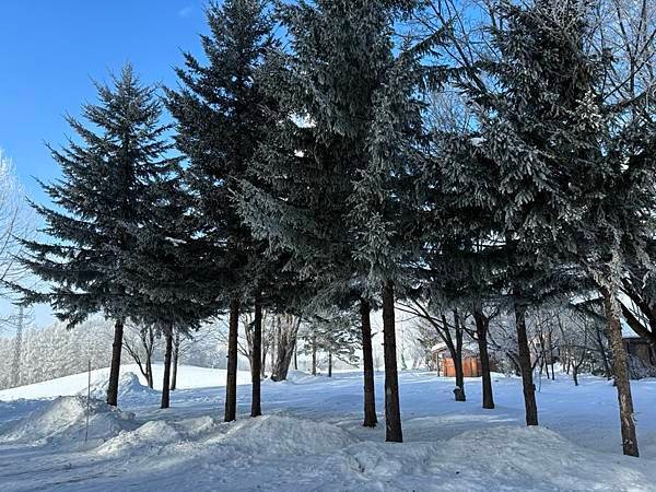 2025寒假F4北海道行 Day4-1：雪國晨景、退房前往旭