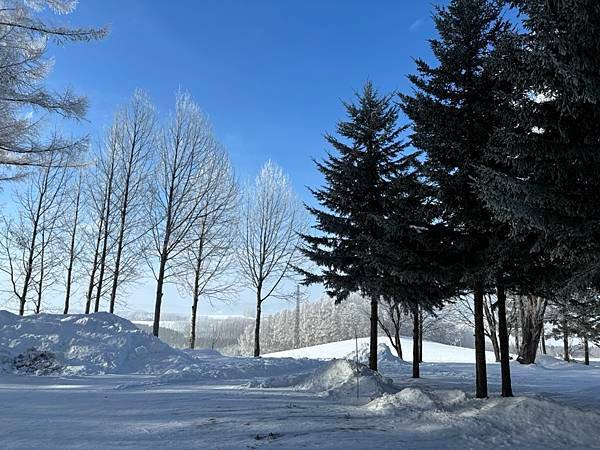 2025寒假F4北海道行 Day4-1：雪國晨景、退房前往旭