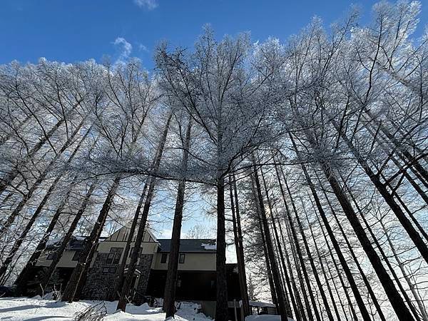 2025寒假F4北海道行 Day4-1：雪國晨景、退房前往旭