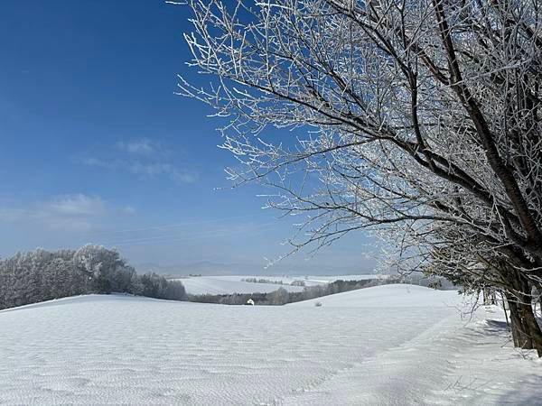 2025寒假F4北海道行 Day4-1：雪國晨景、退房前往旭