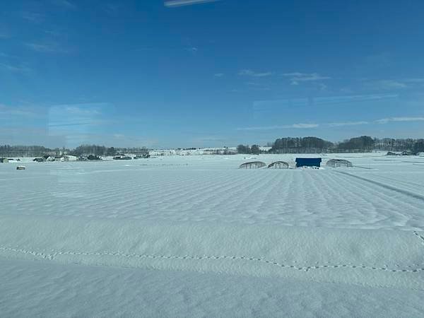 2025寒假F4北海道行 Day4-1：雪國晨景、退房前往旭