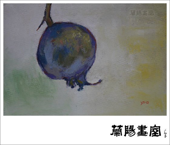 畫室部落格_20160615_橫幅_楊老師石榴01