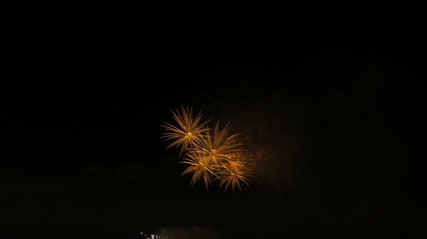 DSC02950.JPG