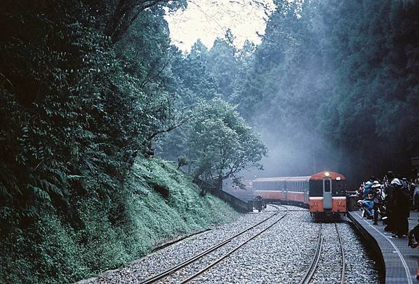 2022年09月，阿里山的光芒萬丈