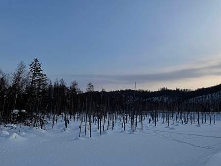 2023年02月，北海道歷險記之『美瑛都不美瑛，札幌都不札幌