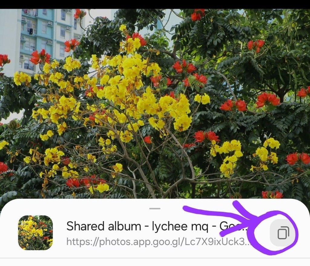 以 Google Photo為例，當你身處的地方封鎖所有電子