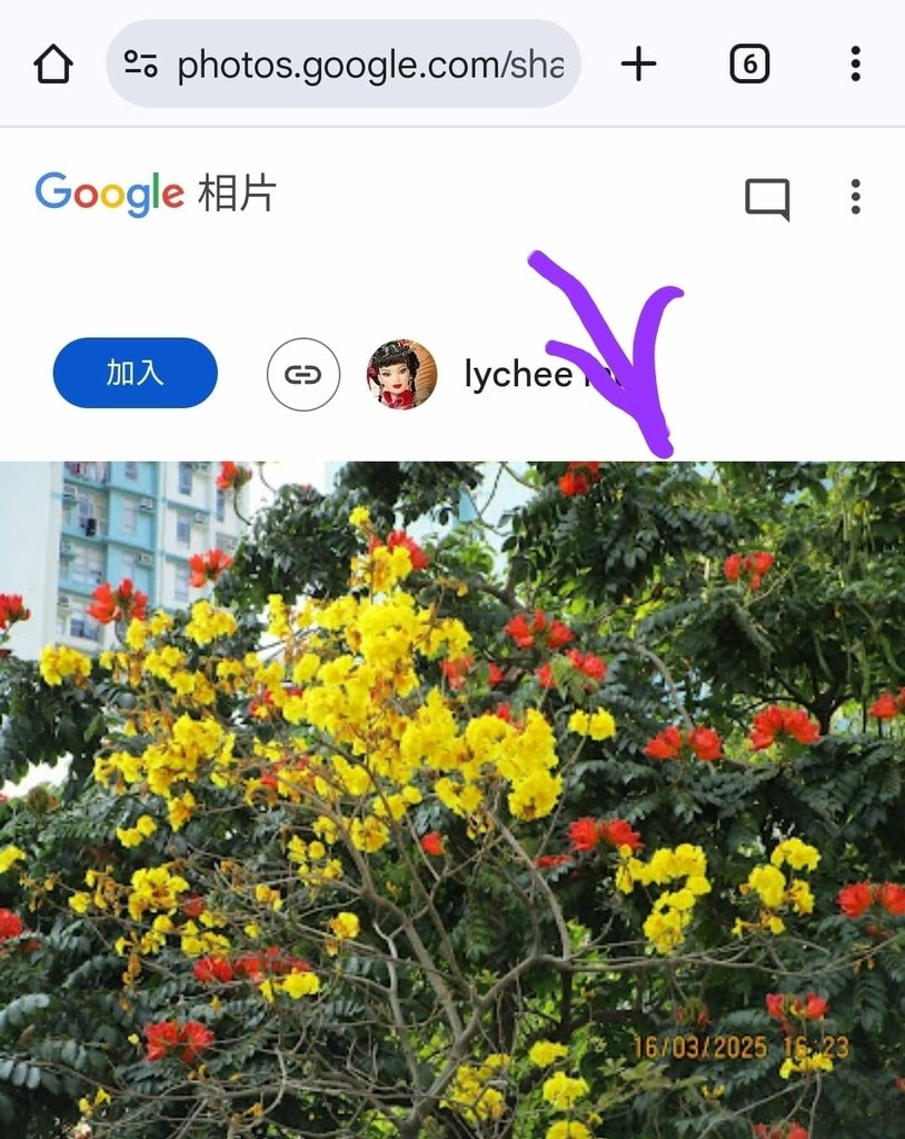 以 Google Photo為例，當你身處的地方封鎖所有電子
