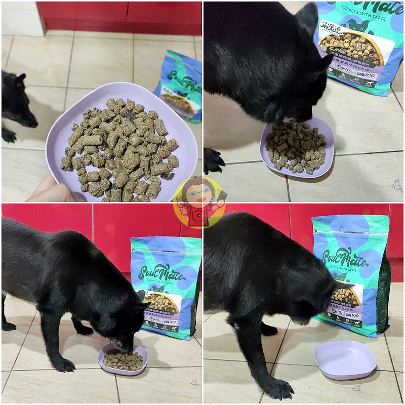 【體驗】2025寵物開箱/犬用生食主餐推薦/狗狗凍乾餐分享《