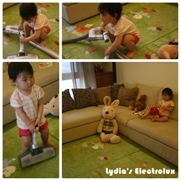Electrolux_03.jpg