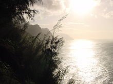 220px-Na_Pali_Coast_-_Kauai.jpg