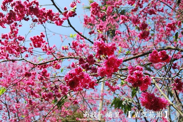 DSC_0037.JPG