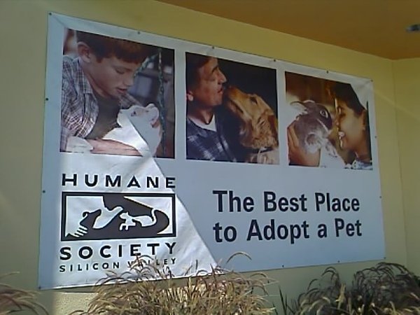 Humane Society