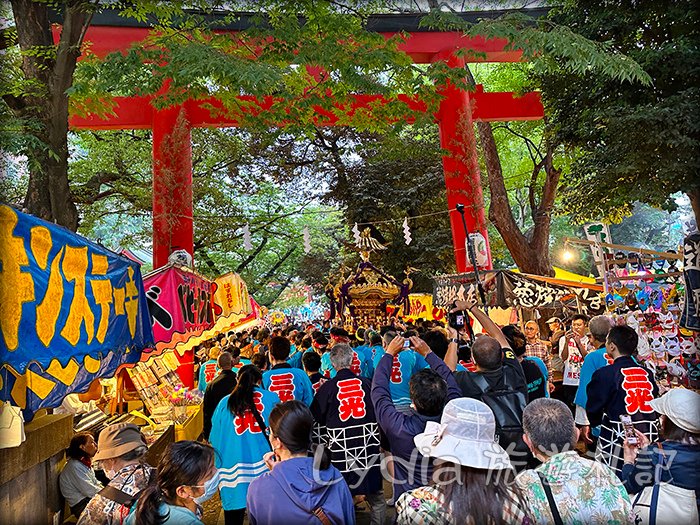 【2023東京自由行】新宿花園神社祭典｜花園神社例大祭