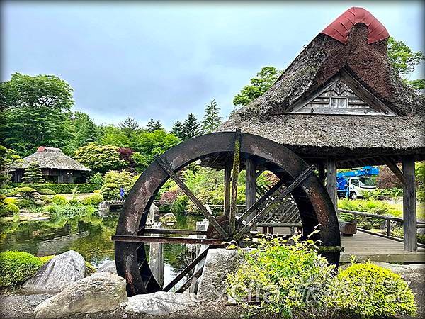 【2023東京自由行】河口湖｜忍野八海｜忍野八海淺間神社