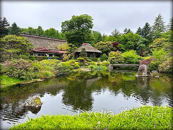 【2023東京自由行】河口湖｜忍野八海｜忍野八海淺間神社