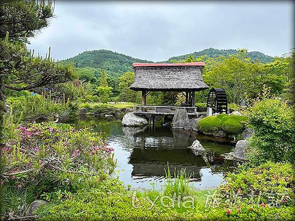 【2023東京自由行】河口湖｜忍野八海｜忍野八海淺間神社