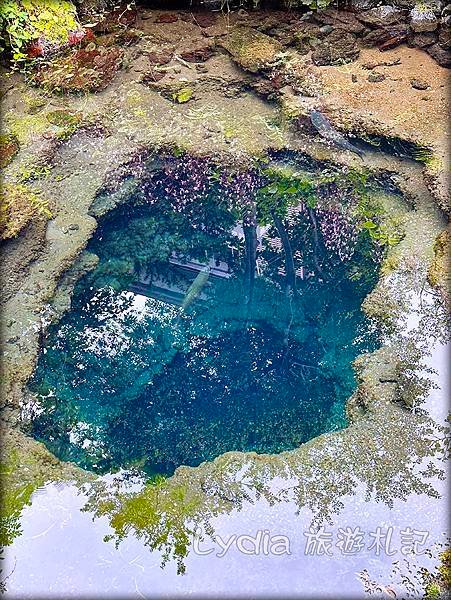 【2023東京自由行】河口湖｜忍野八海｜忍野八海淺間神社