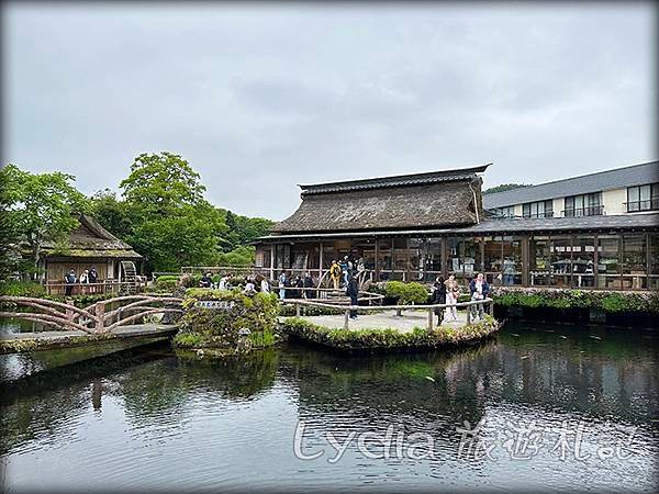 【2023東京自由行】河口湖｜忍野八海｜忍野八海淺間神社