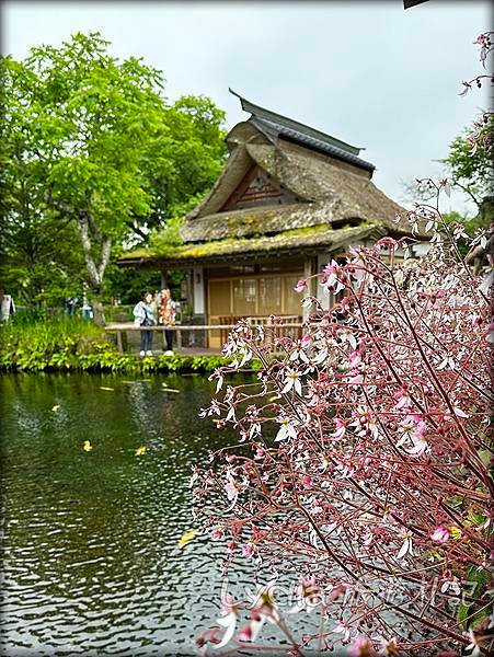 【2023東京自由行】河口湖｜忍野八海｜忍野八海淺間神社