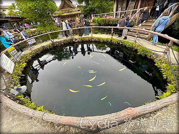 【2023東京自由行】河口湖｜忍野八海｜忍野八海淺間神社