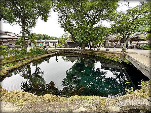 【2023東京自由行】河口湖｜忍野八海｜忍野八海淺間神社