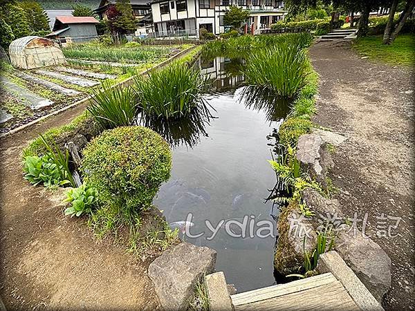 【2023東京自由行】河口湖｜忍野八海｜忍野八海淺間神社