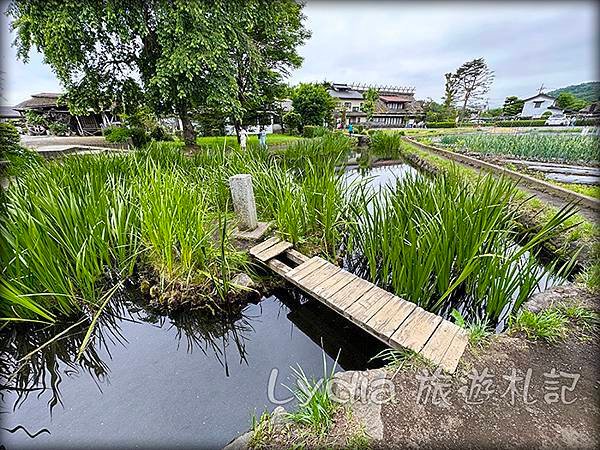 【2023東京自由行】河口湖｜忍野八海｜忍野八海淺間神社