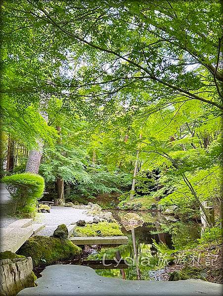 【2023東京自由行】河口湖｜