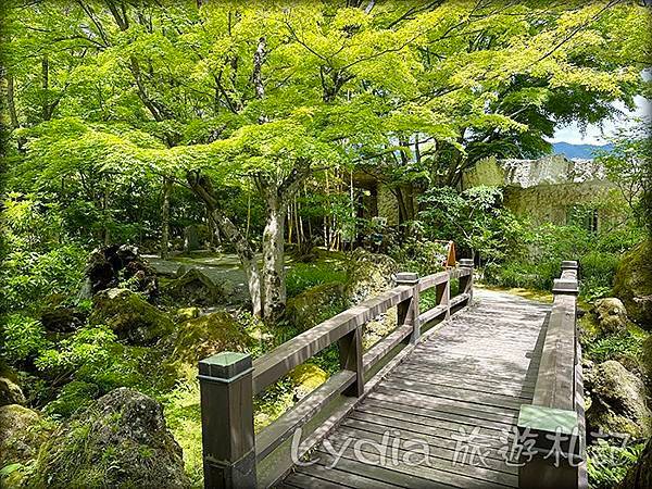 【2023東京自由行】河口湖｜