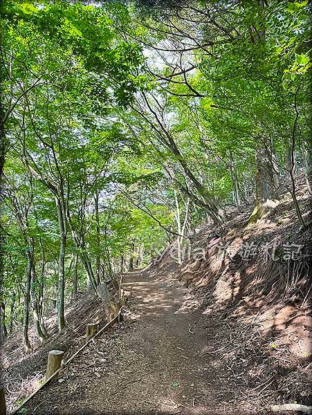 【2023東京自由行】河口湖｜天上山公園｜魚民富士山站前店