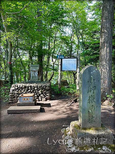 【2023東京自由行】河口湖｜天上山公園｜魚民富士山站前店